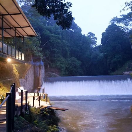 Hau Eco Lodges Citumang Pangandaran Eksteriør billede