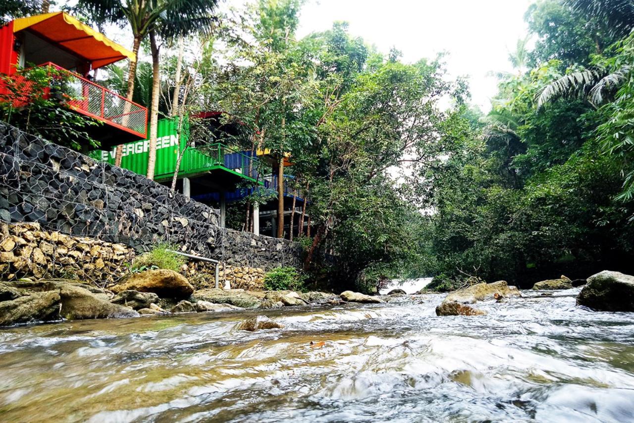 Hau Eco Lodges Citumang Pangandaran Eksteriør billede