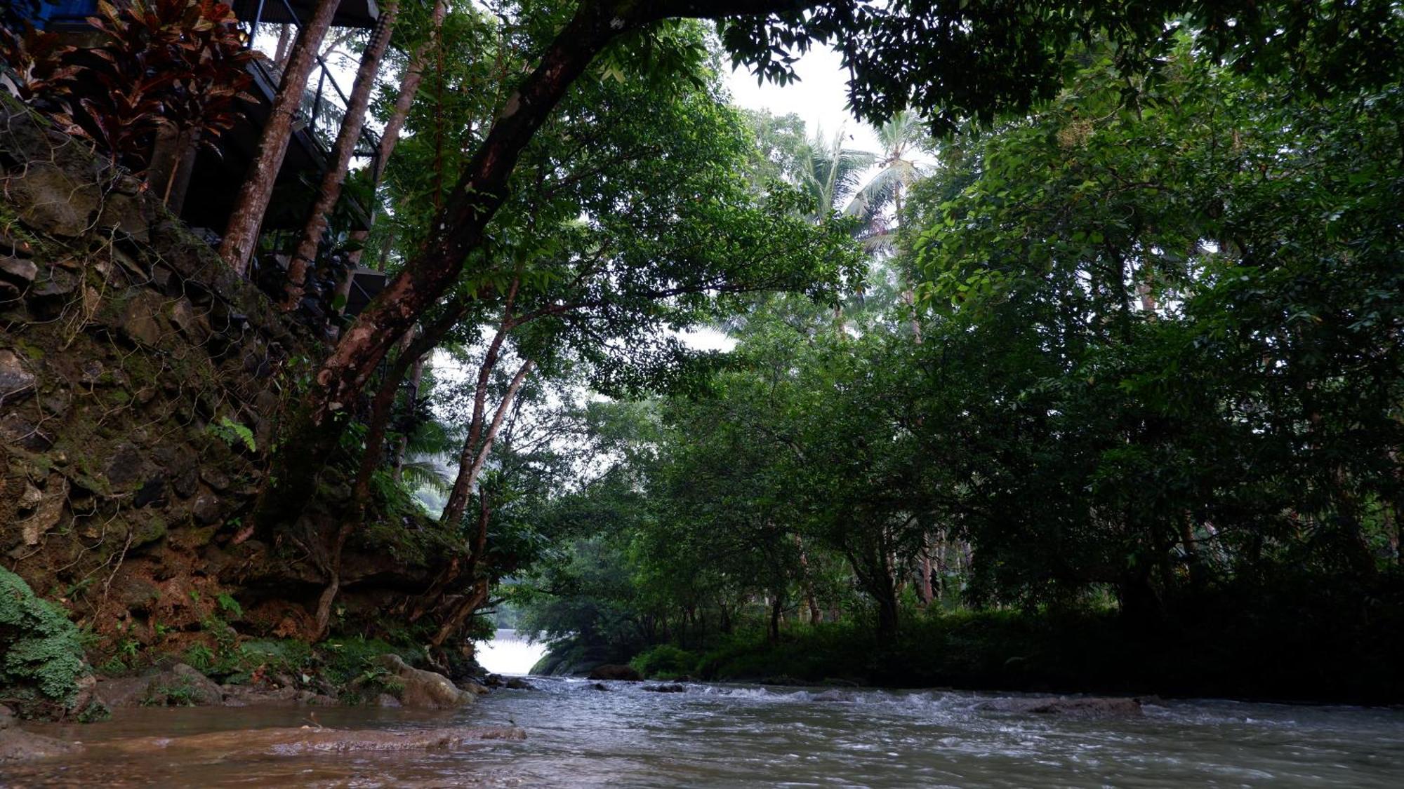 Hau Eco Lodges Citumang Pangandaran Eksteriør billede