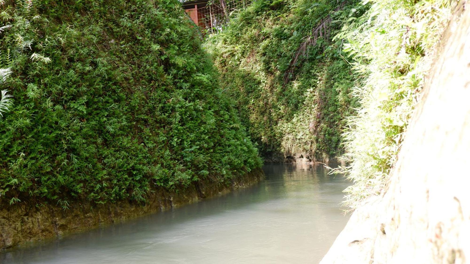 Hau Eco Lodges Citumang Pangandaran Eksteriør billede