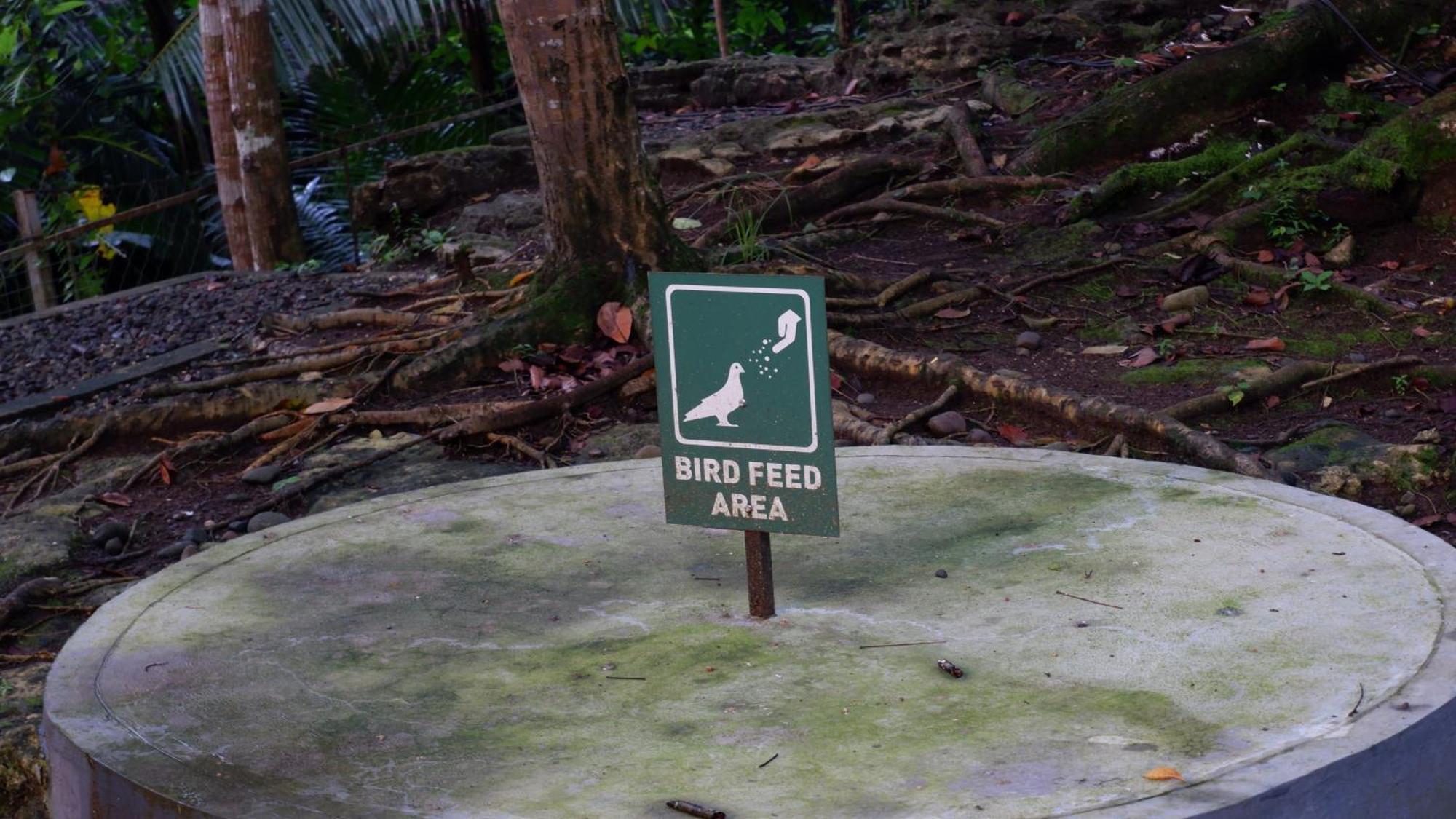 Hau Eco Lodges Citumang Pangandaran Eksteriør billede