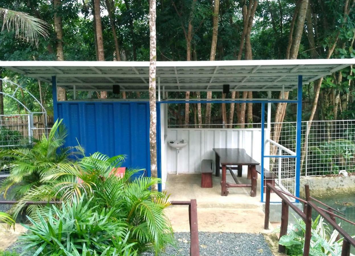 Hau Eco Lodges Citumang Pangandaran Eksteriør billede